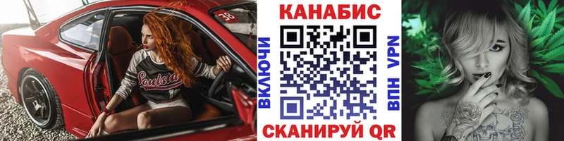 Каннабис OG Kush  где найти   Абаза 
